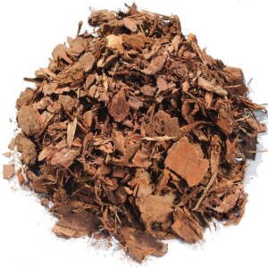 Pine Bark