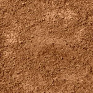 Sandy Loam Soil