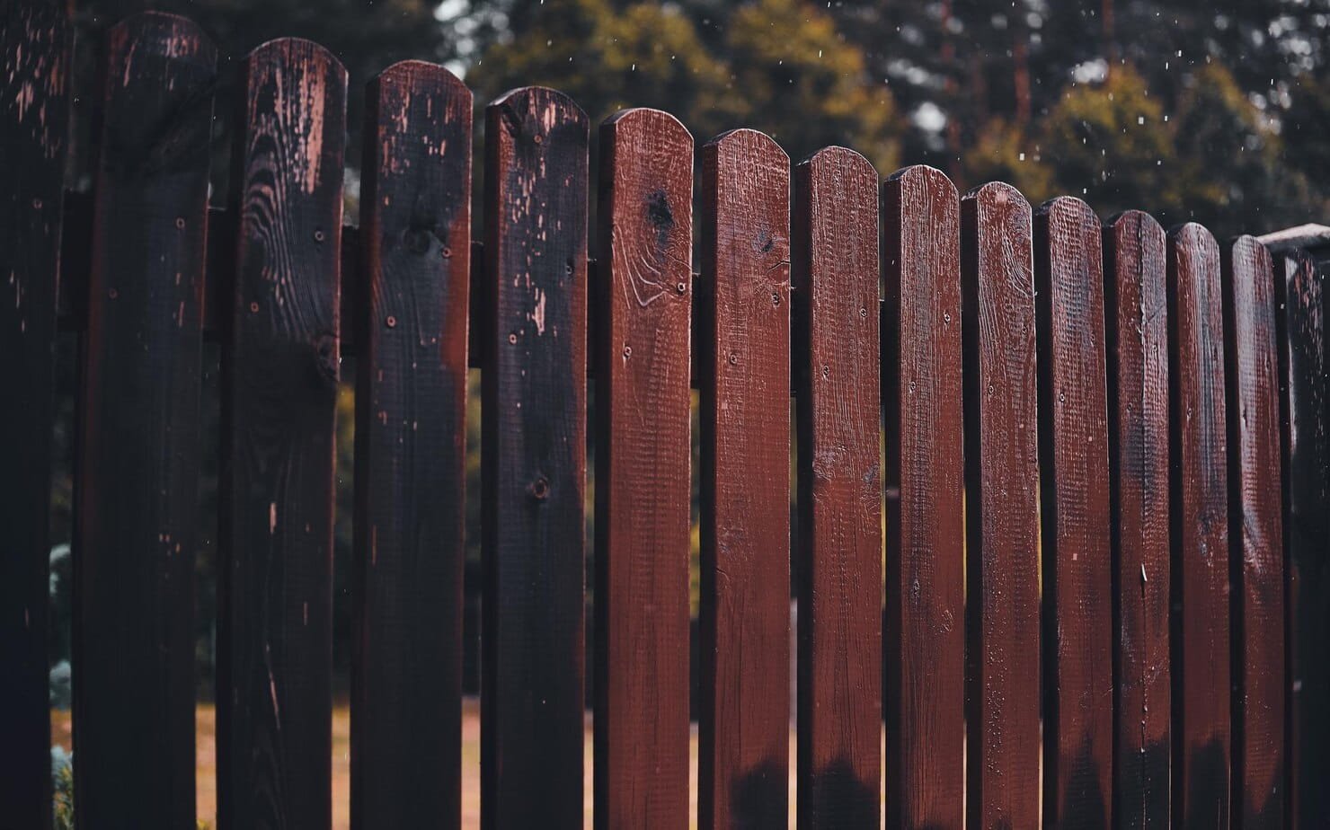Timber Fencing in Melbourne: Types, Costs, Rules and Where to Buy Supplies